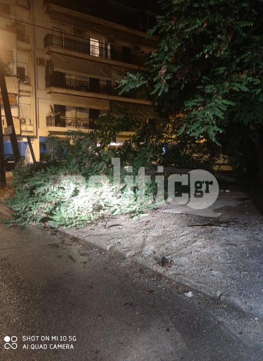 Θεσσαλονίκη: Κατέρρευσε δέντρο στην Καλαμαριά – Έπεσε πάνω σε αυτοκίνητα