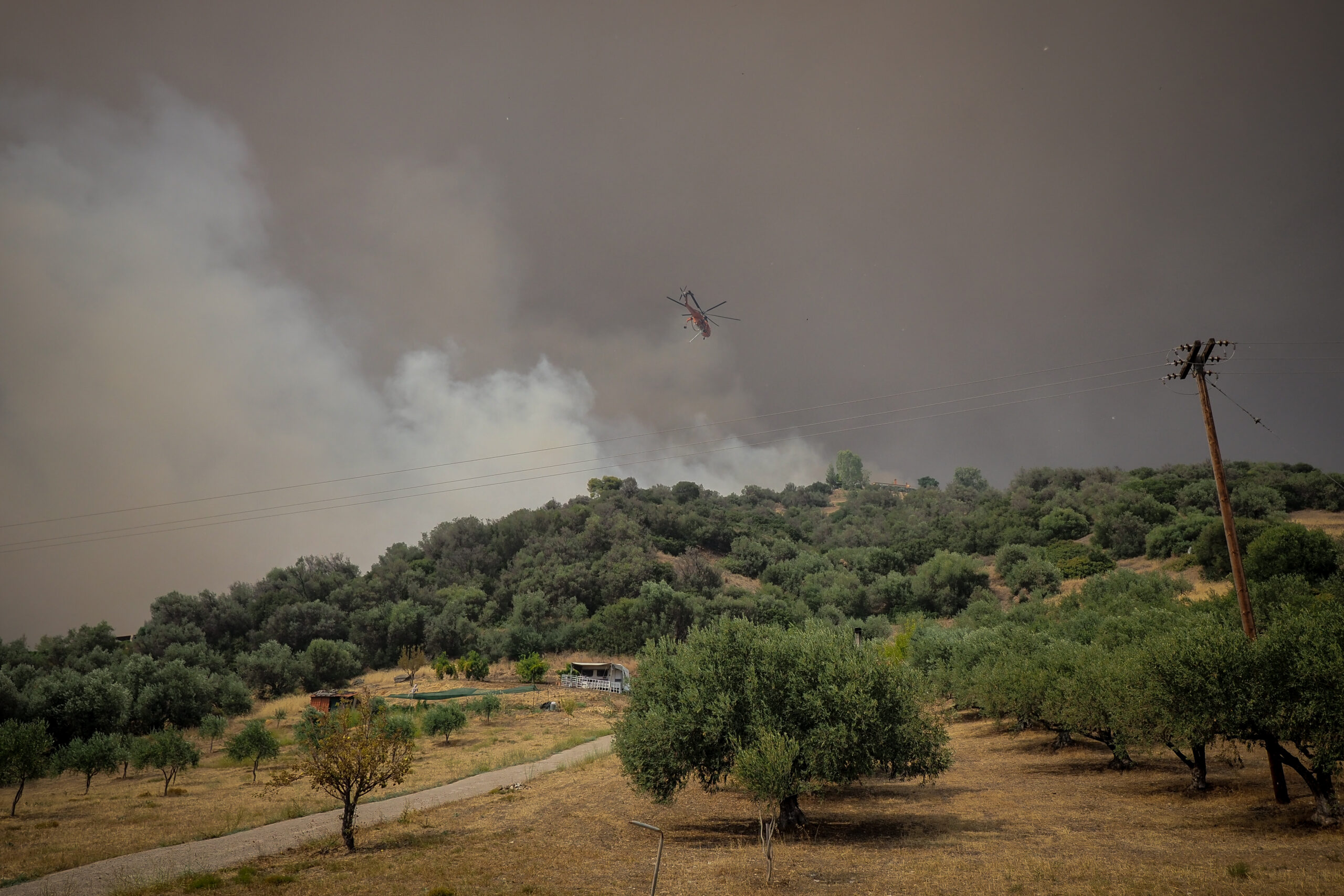 Πλησίασε στο χιλιόμετρο την Αρχαία Ολυμπία η φωτιά