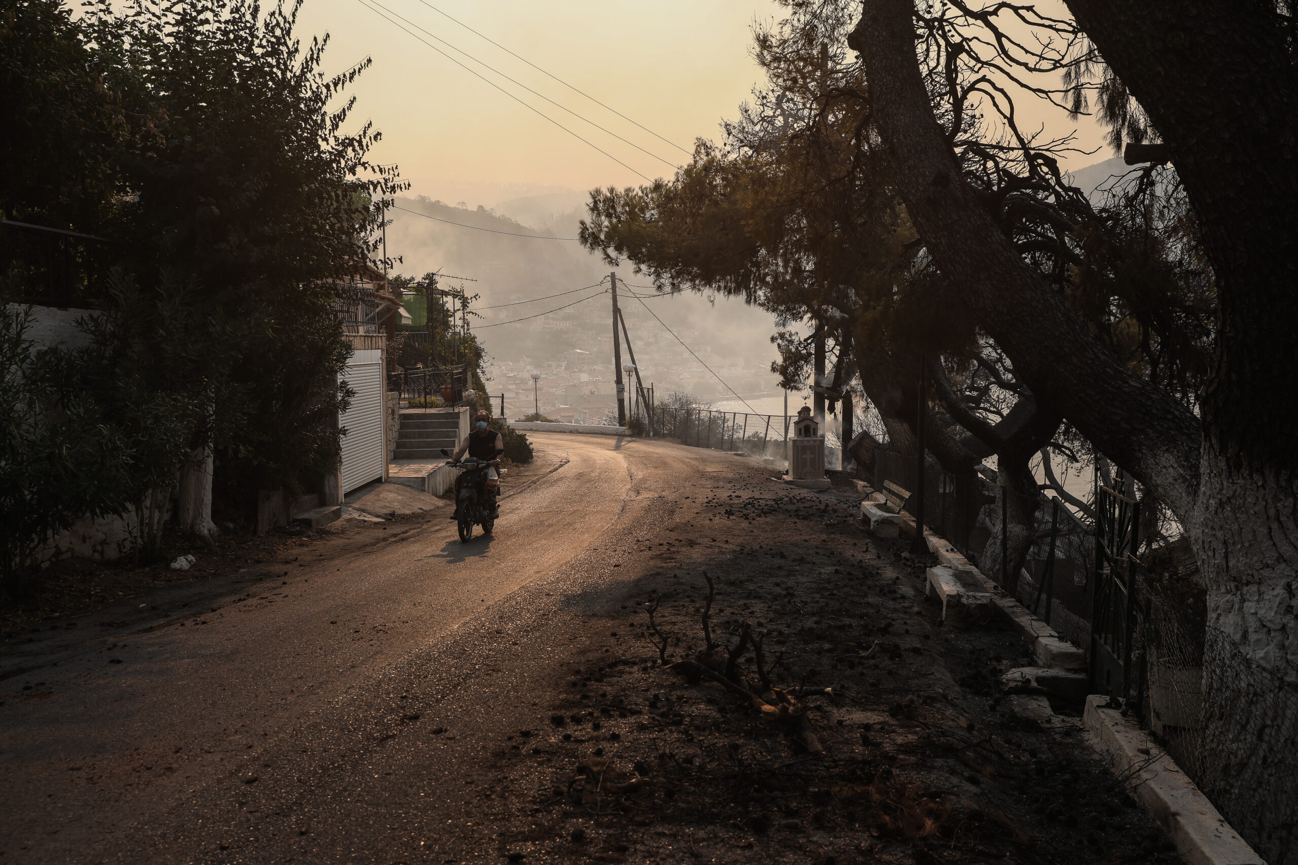 Φωτιές στην Εύβοια: Αναζωπύρωση στις Ροβιές (pics & vid)