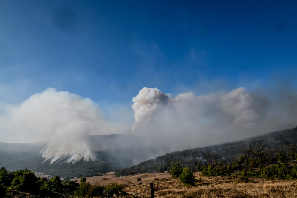 Φωτιά στα Βίλια: Δεν κινδυνεύουν πλέον οικισμοί (vids)