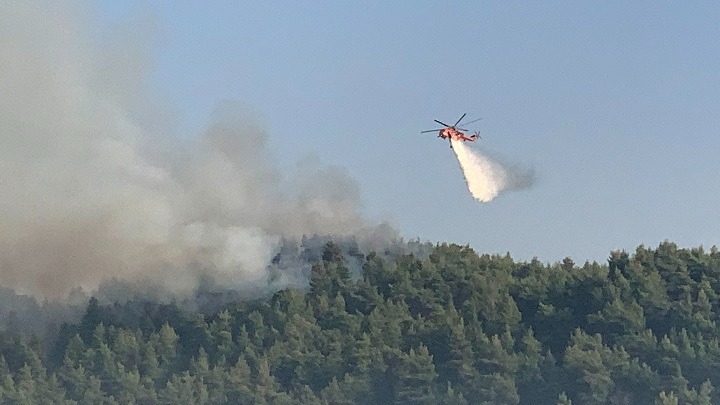Ακόμα ένα μέτωπο στην Εύβοια: Φωτιά και στην Δάφνη