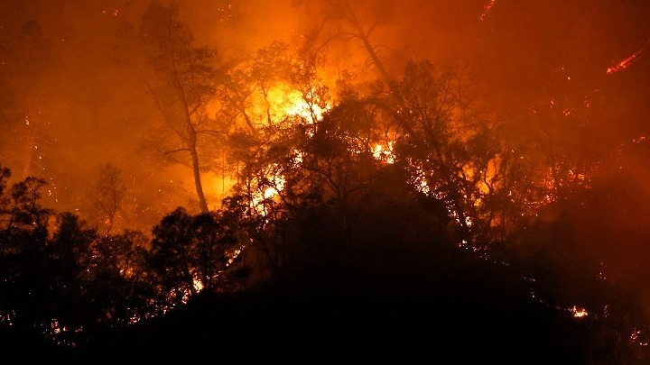 Έτσι θα επανεκδόσουν οι πυρόπληκτοι τις ταυτότητες και τα διαβατήριά τους