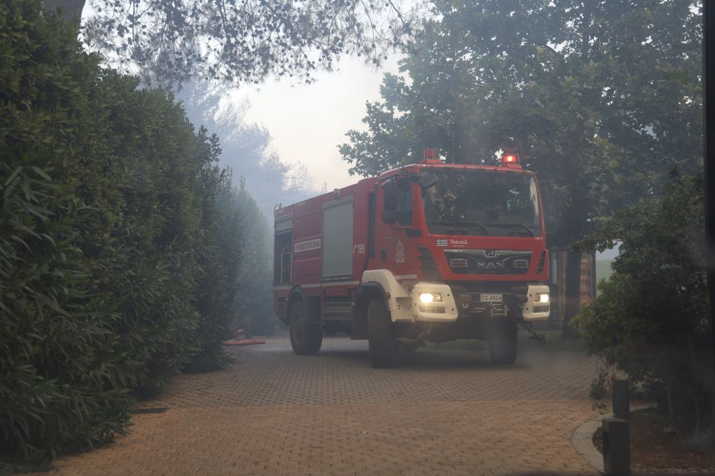 Πυροσβεστικό Σώμα: 38 δασικές πυρκαγιές το τελευταίο 24ώρο