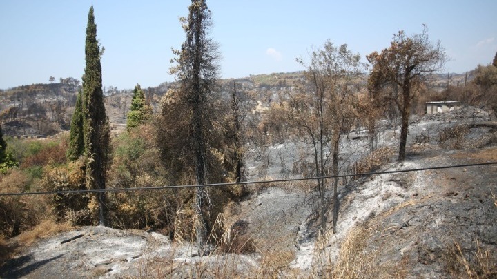 Εύβοια: Πώς θα υποβληθούν οι δηλώσεις αναστολών συμβάσεων εργασίας από τις επιχειρήσεις των πυρόπληκτων περιοχών