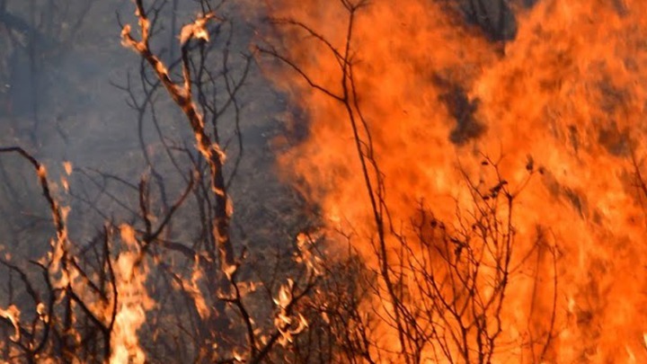 Φωτιά στη Γορτυνία: Μπήκαν στο χωριό Δωδεκάμετρο οι φλόγες – Έκκληση για βοήθεια από τους πολίτες (vid)
