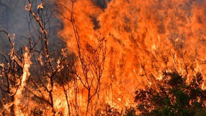 Στις φωτιές τυλίχτηκε αποθήκη στην Σαγκάη (vid)