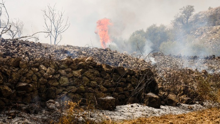 Ιταλία: 59 πύρινα μέτωπα στην Καλαβρία