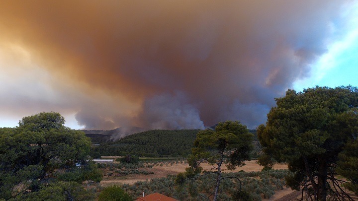 Θεολόγος: Προσαγωγή 14χρονου για σειρά εμπρησμών