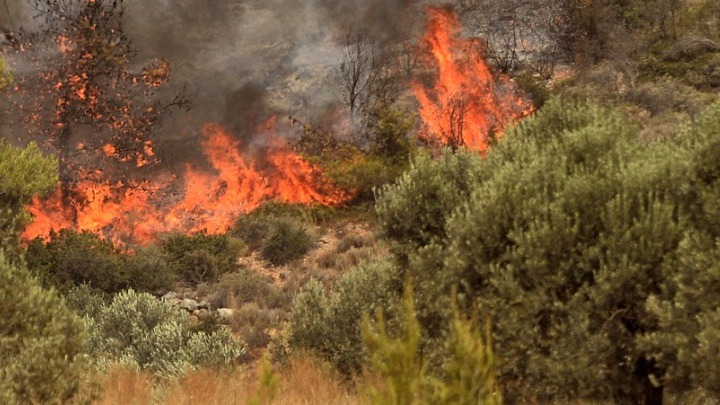 ΕΕ: Copernicus: Η Μεσόγειος έχει εξελιχθεί σε hotspot πυρκαγιών