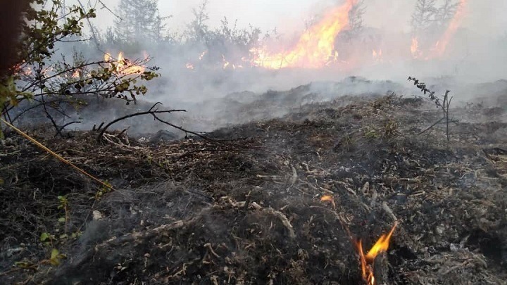 Μαρόκο: Πυρκαγιές μαίνονται στον βορρά εν μέσω θερμοκρασιών που φθάνουν έως και τους 49 βαθμούς Κελσίου