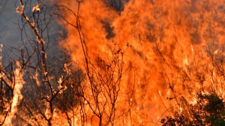 Μεσσηνία: Μαίνεται ακόμα η φωτιά – Στα σπίτια τους οι κάτοικοι στο Βασιλίτσι (vid)