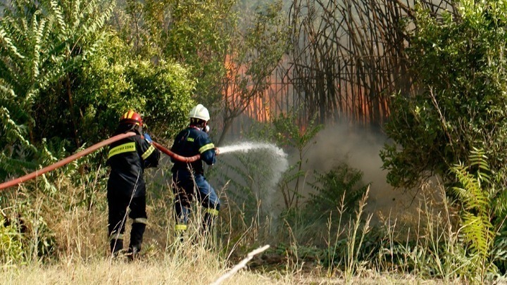 Νέα Μάκρη: Καλύτερη η εικόνα της πυρκαγιάς – Διάσπαρτες μικρές εστίες (vid)