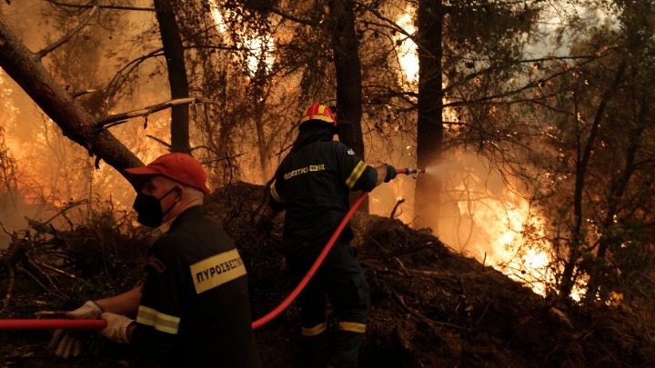 Γορτυνία – Ανατολική Μάνη: Άμεση η ανταπόκριση των πυροσβεστών (video)