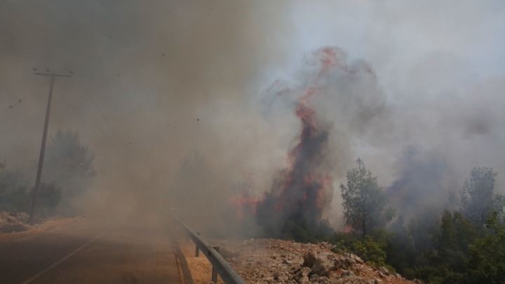 Άμφισσα: Πυρκαγιά κοντά στο χωριό Κρόκι