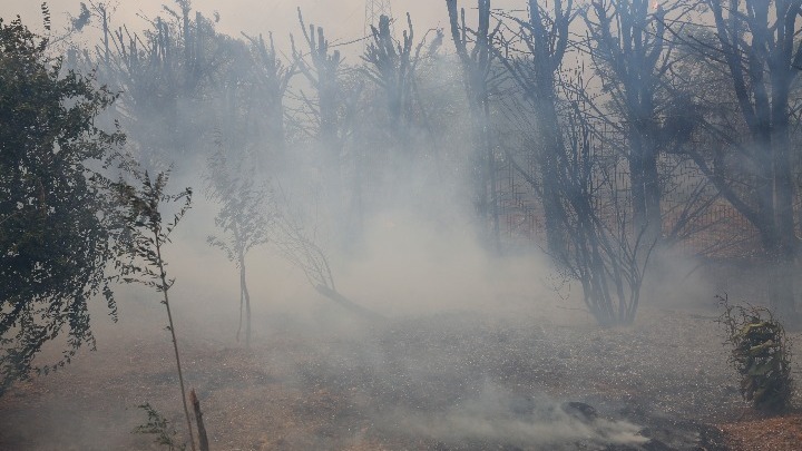 Μάνη: Εκτός ελέγχου η φωτιά – Εκκενώνεται το Γύθειο και το Μαυροβούνι (vids&pics)