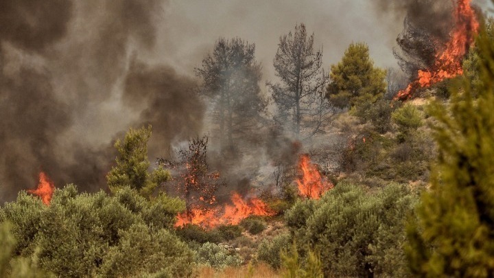 Ανοίγει η πλατφόρμα στήριξης για τους πυρόπληκτους