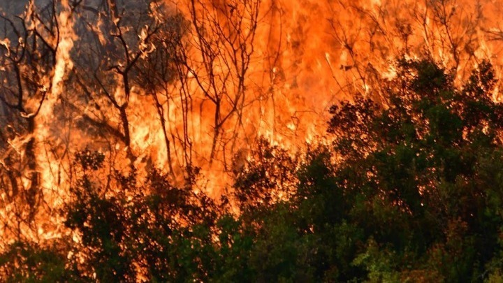 Πυρκαγιές: Υψηλός κίνδυνος σε Θεσσαλονίκη,  Χαλκιδική και Έβρο