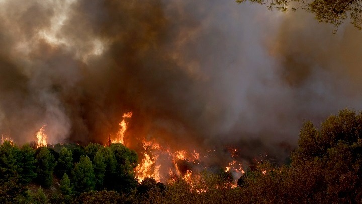 Εισαγόμενη πυρκαγιά από την Αλβανία πέρασε τα σύνορα στη Θεσπρωτία