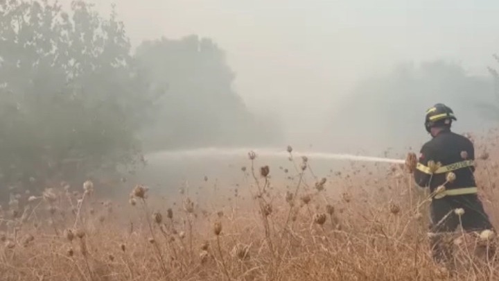 Nότια Ιταλία: Ένας νεκρός από τις πυρκαγιές (vid)