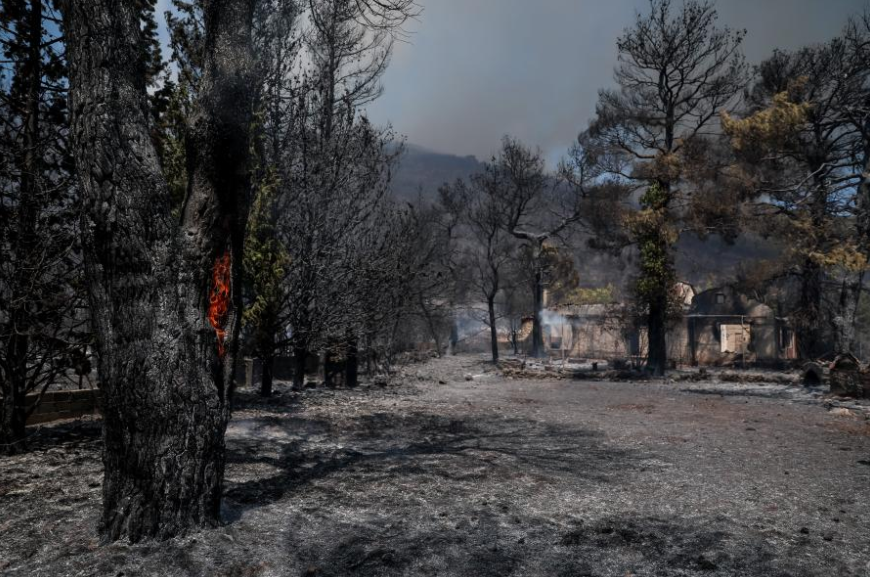 Πυρκαγιές: Τεράστιο μέτωπο φωτιάς στο Παλαιοχώρι – Ανυπολόγιστη οικολογική καταστροφή (pics+vid)