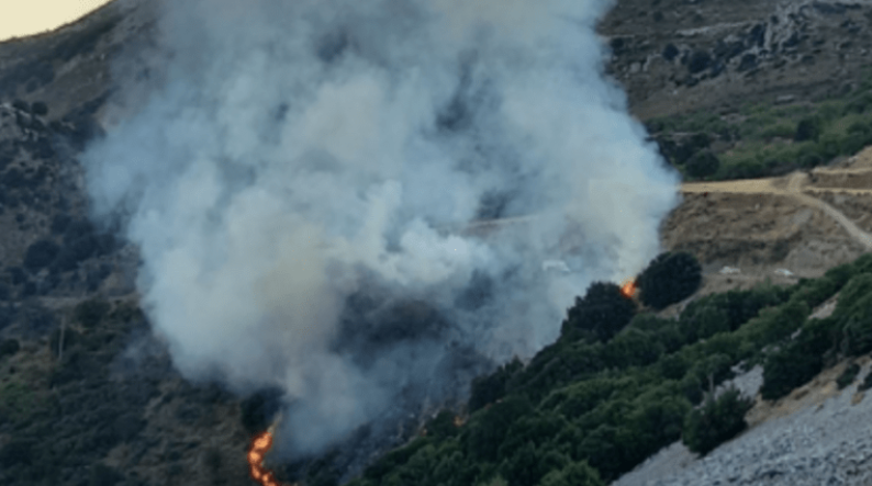 ΤΩΡΑ: Φωτιά στο Λασίθι – Επί τόπου οι πυροσβεστικές δυνάμεις