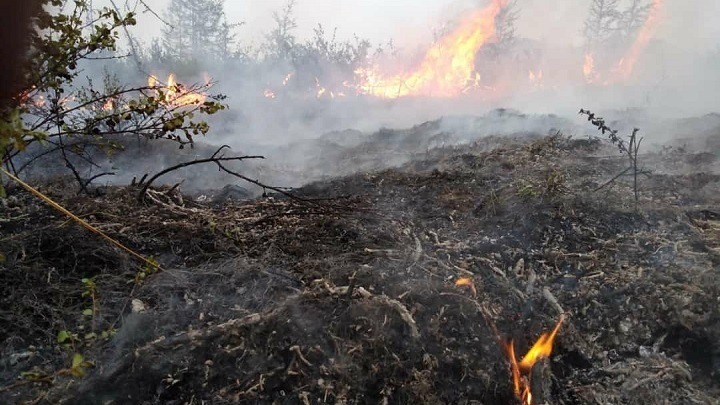 Ρωσία: Η κλιματική αλλαγή φταίει για τις πυρκαγιές στη Σιβηρία