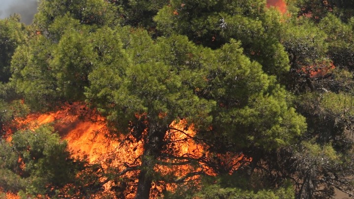 Φωτιά Κάρπαθος – Ενεργά δύο μέτωπα στο νησί – Οι ισχυροί άνεμοι δυσκολεύουν τους Πυροσβέστες