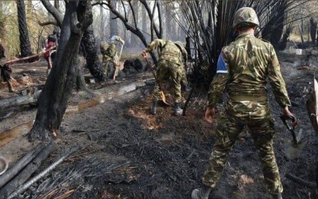 Αλγερία: 42 οι νεκροί – Κάηκαν στις πυρκαγιές που κατακαίνε τον βορρά