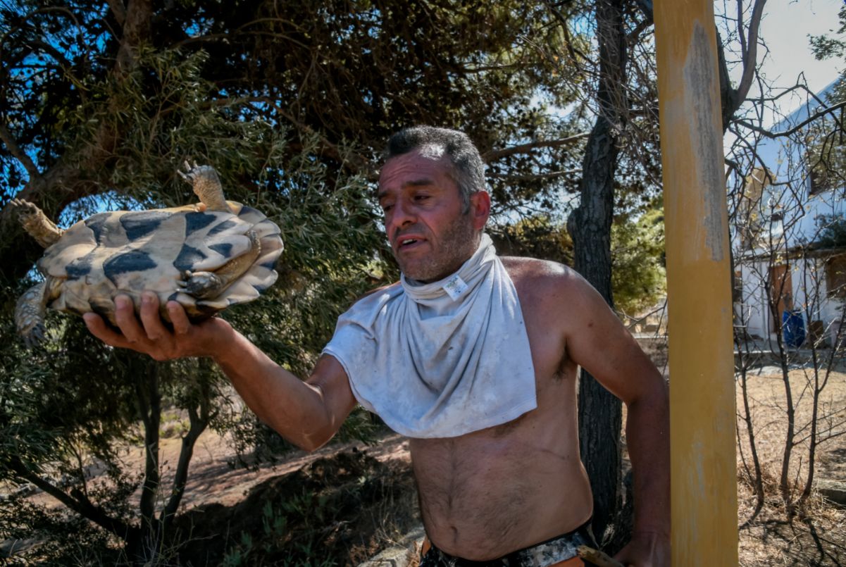 Καλύτερη η εικόνα στα Βίλια – Υπό έλεγχο η φωτιά στην Κερατέα
