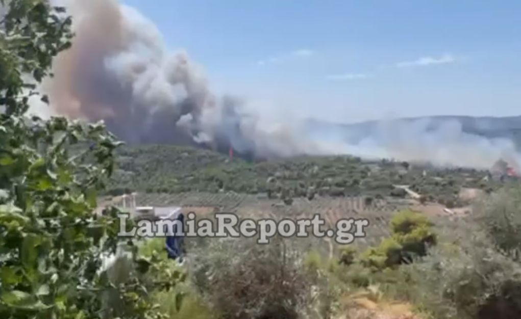 Φωτιά στον Θεολόγο Φθιώτιδας – Εισήγηση για απομάκρυνση κατοίκων στη Μαλεσίνα (ΒΙΝΤΕΟ)