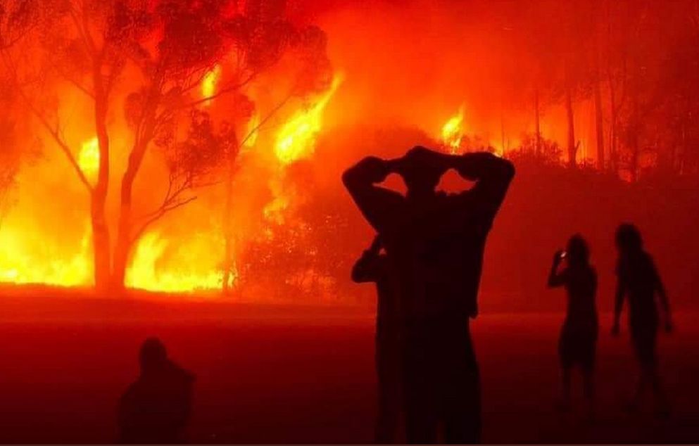Φονικές πυρκαγιές στην Αλγερία – 5 νεκροί – Η θερμοκρασία αγγίζει τους 46 βαθμούς