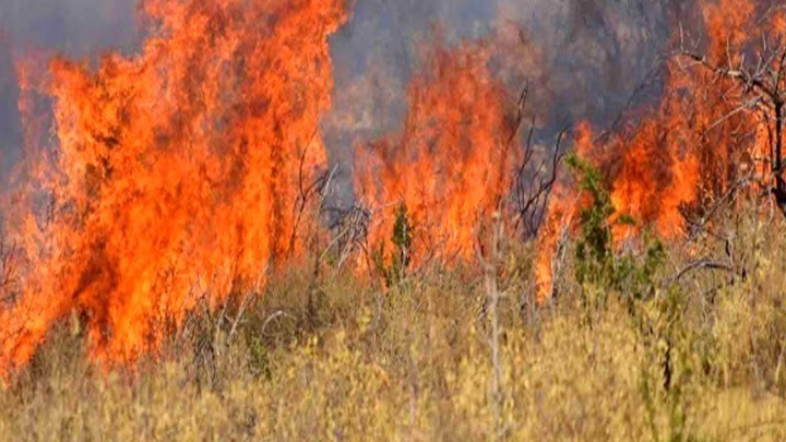 Φωτιές στην Ελλάδα: Πυρκαγιές σε δασικές εκτάσεις σε Δράμα και Σέρρες