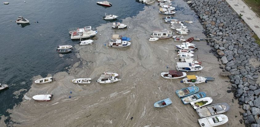 Καθηγητής ωκεανογραφίας προβλέπει την πορεία της θαλάσσιας βλέννας – Θα έρθει και στην Ελλάδα