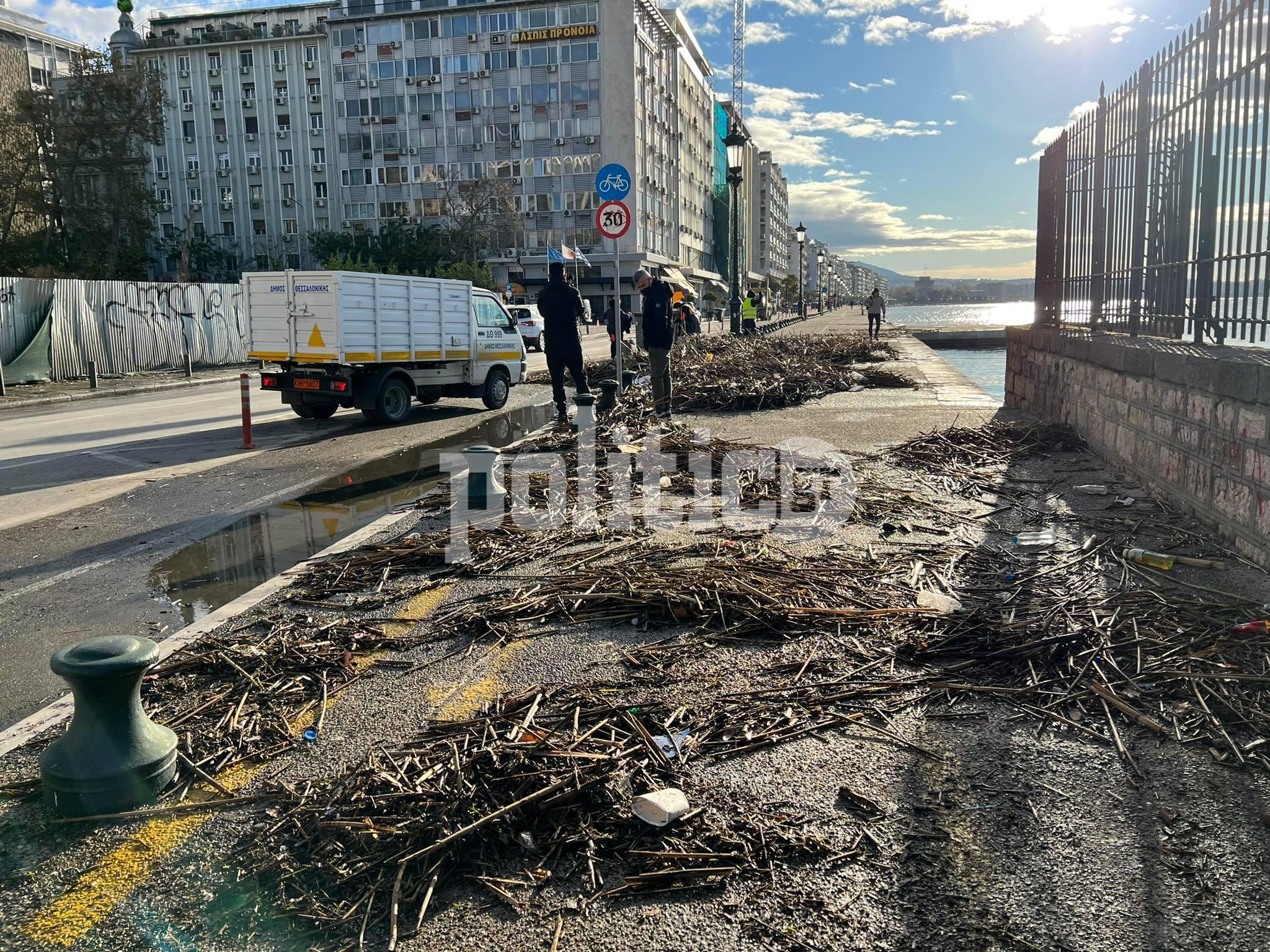 Θεσσαλονίκη: Ο Θερμαϊκός «ξέβρασε» σκουπίδια στην παραλιακή (pics & vid)