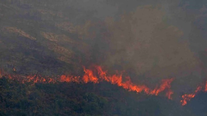 Κιλκίς: Σύλληψη για εμπρησμό από αμέλεια αγροτοδασικής έκτασης στα Λιβάδια