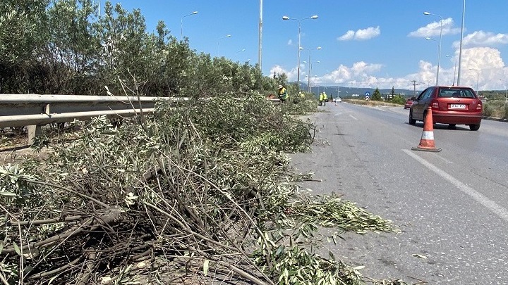 Θεσσαλονίκη: Εργασίες κοπής πρασίνου στην Περιφερειακή και στη Μουδανιών