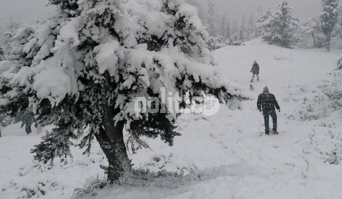 Δεν είναι το Μέτσοβο, είναι ο λόφος Στρέφη στο κέντρο της Αθήνας! (pics)