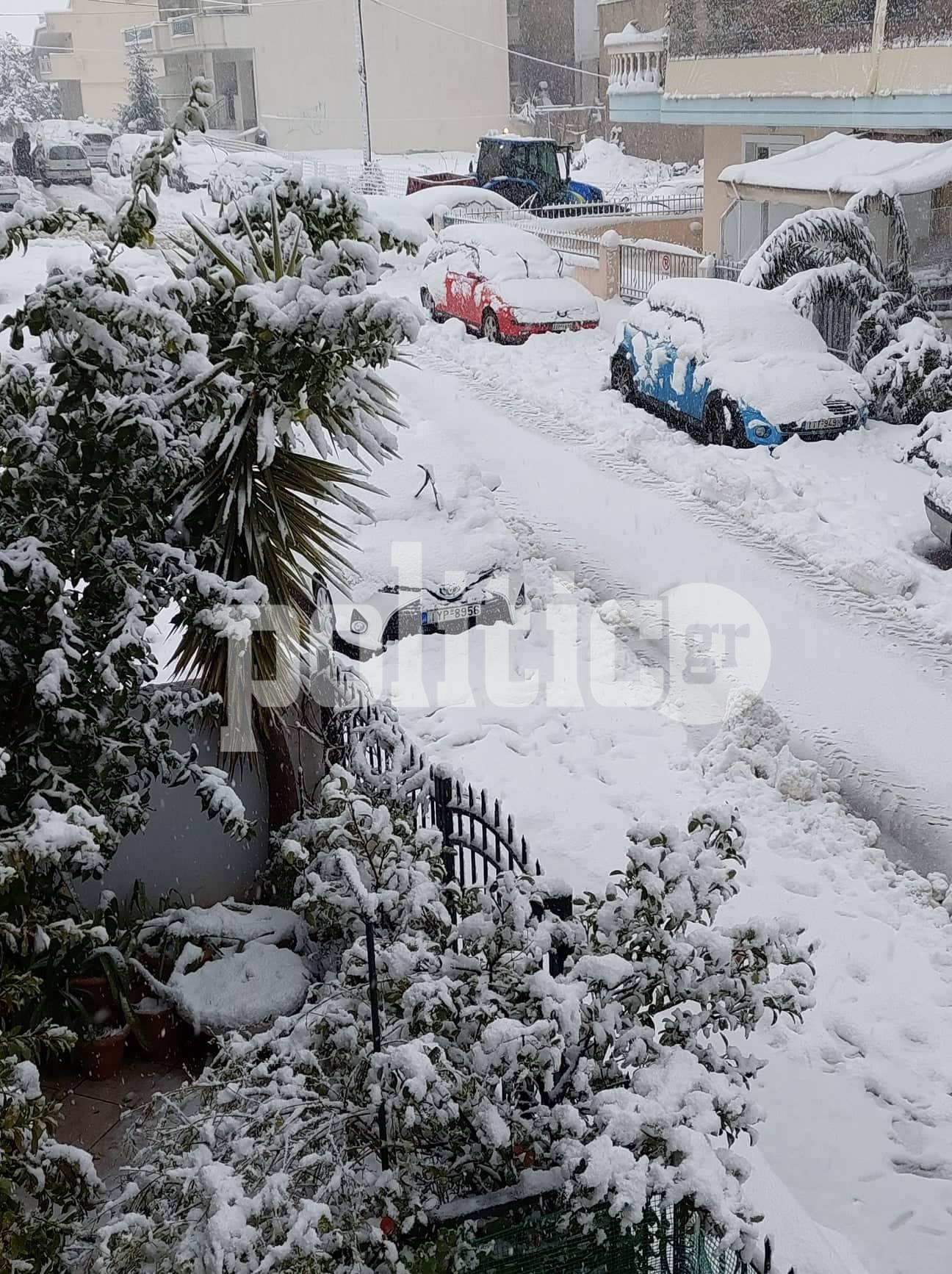 Εύβοια-Κακοκαιρία: Μέχρι την θάλασσα έφτασαν τα χιόνια