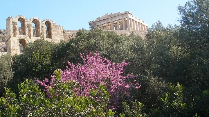 Νέα έρευνα για το προσδόκιμο υγιούς ζωής για άνδρες και γυναίκες στην Ελλάδα – Τι ισχύει για τις άλλες χώρες