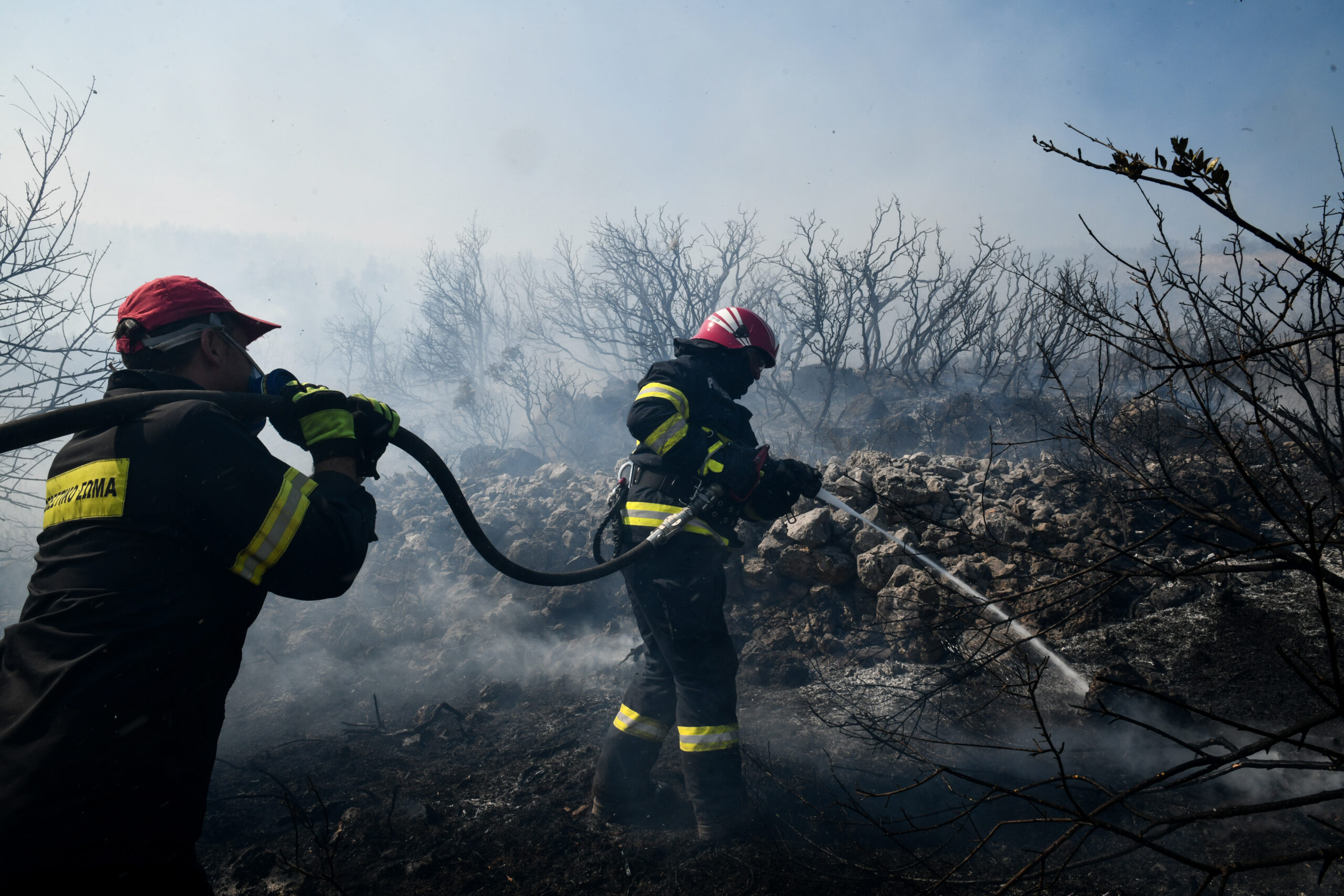Προσλαμβάνονται 500 δασοκομάντος για την προστασία των Δασών