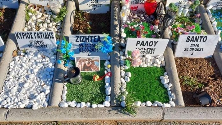 Θεσσαλονίκη: Αποτεφρωτήριο θα λειτουργήσει τον Φεβρουάριο σε νεκροταφείο ζώων