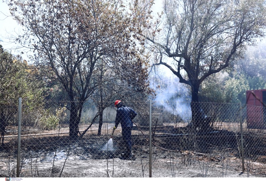 Μεγάλη φωτιά τώρα στη Σάμο: Εκκένωση οικισμού