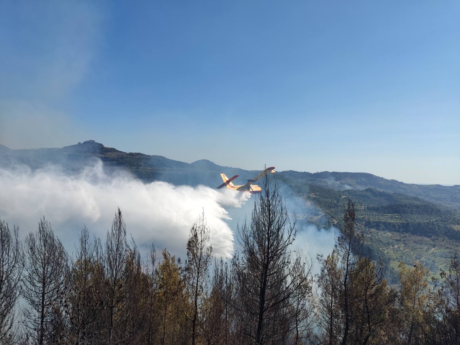 Υπό μερικό έλεγχο φωτιά σε δασική έκταση στην Πέρσαινα Ηλείας