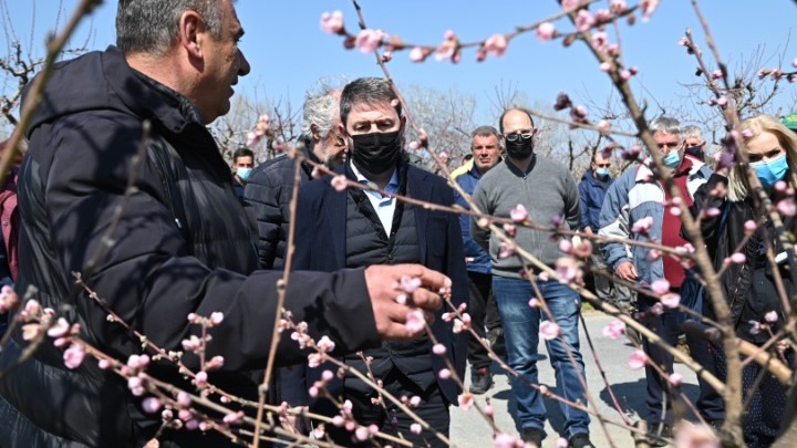Ν. Ανδρουλάκης: Άμεσα μείωση του ΕΦΚ στο πετρέλαιο και πλαφόν στη ρήτρα αναπροσαρμογής ώστε να αντέξουν οι αγρότες