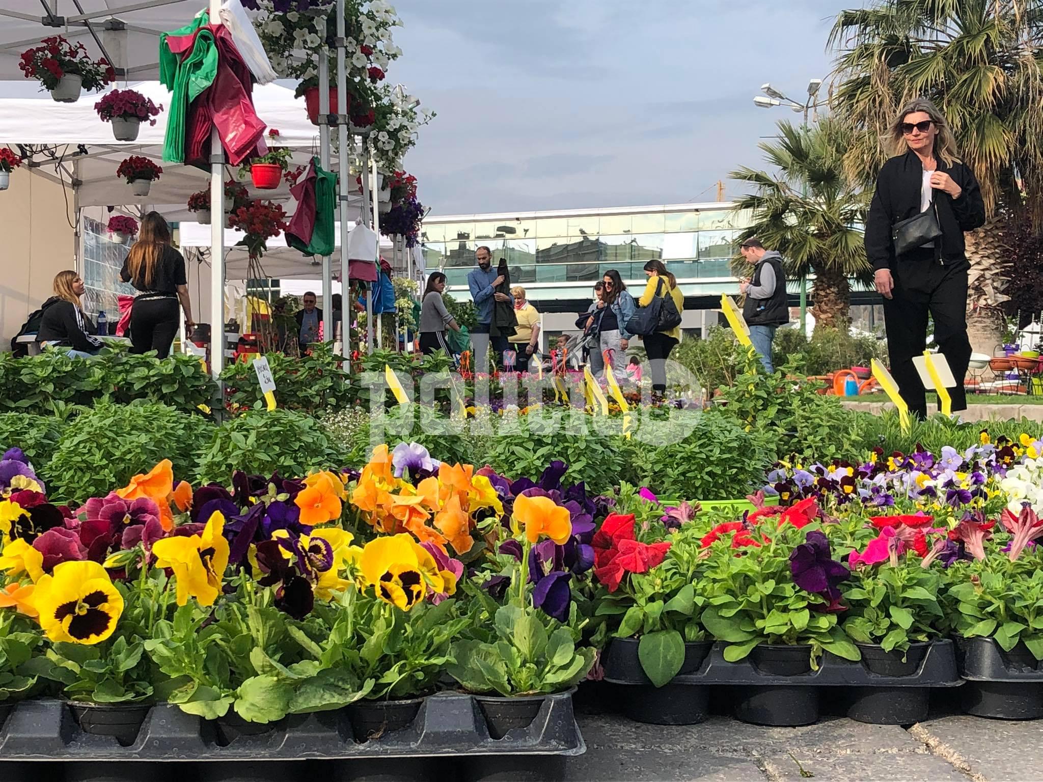 Ανθοέκθεση Θεσσαλονίκης: Γέμισε χρώμα και άρωμα η ΔΕΘ για 10 ημέρες (pics&vid)