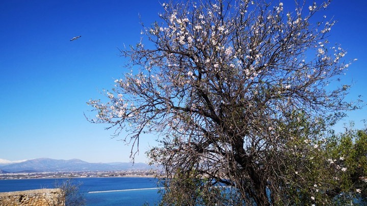 Άνοδος της θερμοκρασίας σήμερα – Τι καιρό θα κάνει την Κυριακή του Πάσχα