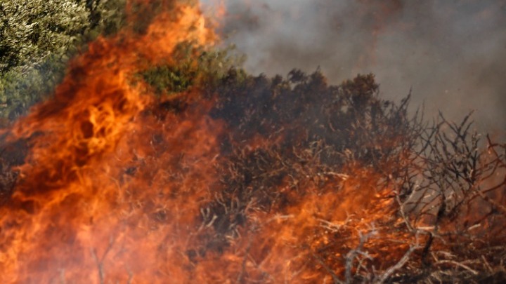 Φωτιά στην Ηλεία: Εκκενώθηκε οικισμός – Δύσκολη νύχτα για τους πυροσβέστες (vid)