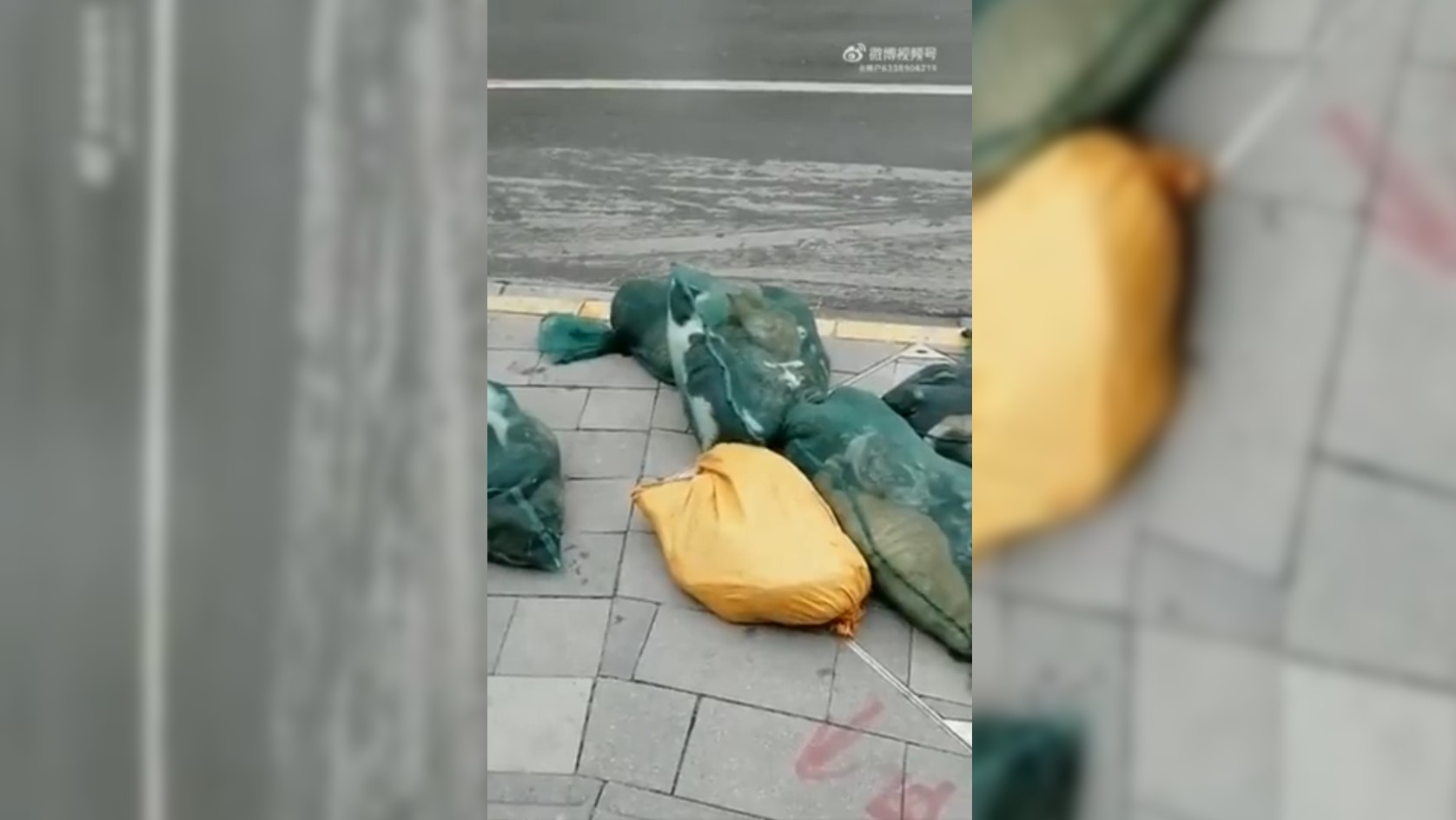 Σκληρό lockdown στη Σανγκάη – Θανατώνουν κατοικίδια πολιτών που έχουν νοσήσει με κορονοϊό