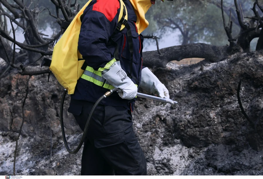Με 500 «δασοκομάντος» από τις ειδικές δυνάμεις του στρατού η μάχη κατά των πυρκαγιών φέτος (vid)