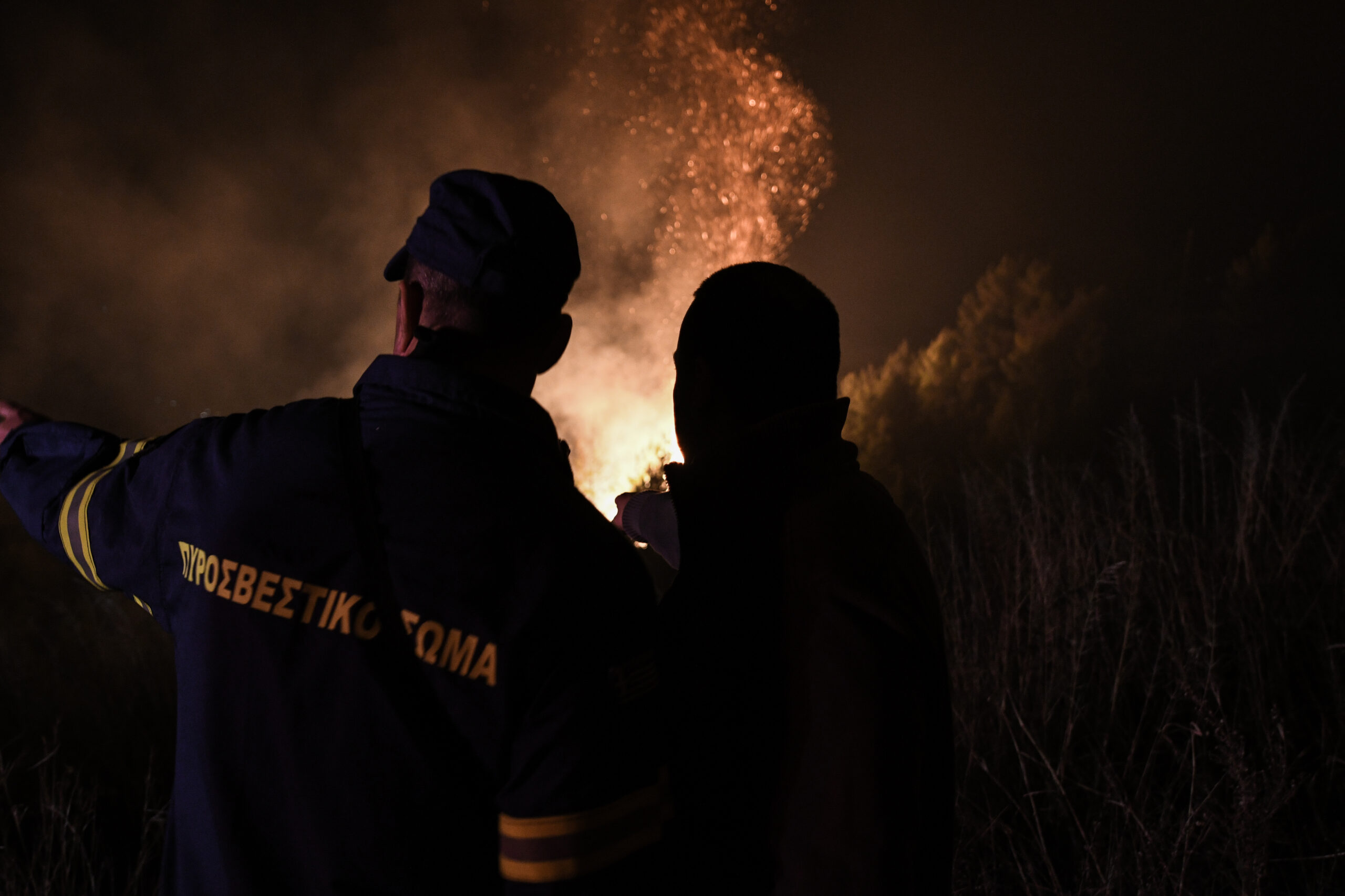 Λιβαδάκι Ηλείας: Σε ύφεση βρίσκεται η πυρκαγιά – Ισχυρές δυνάμεις στο σημείο (pics)